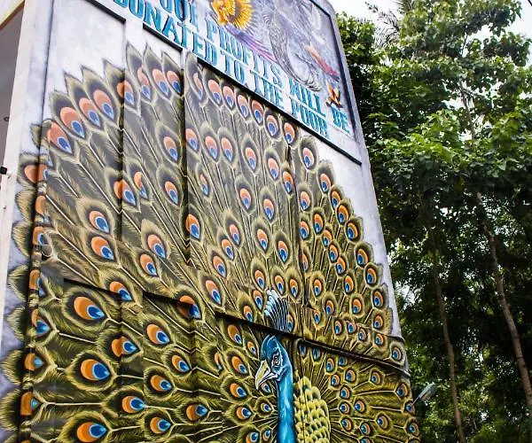 Séjour chez l'habitant Bali 85